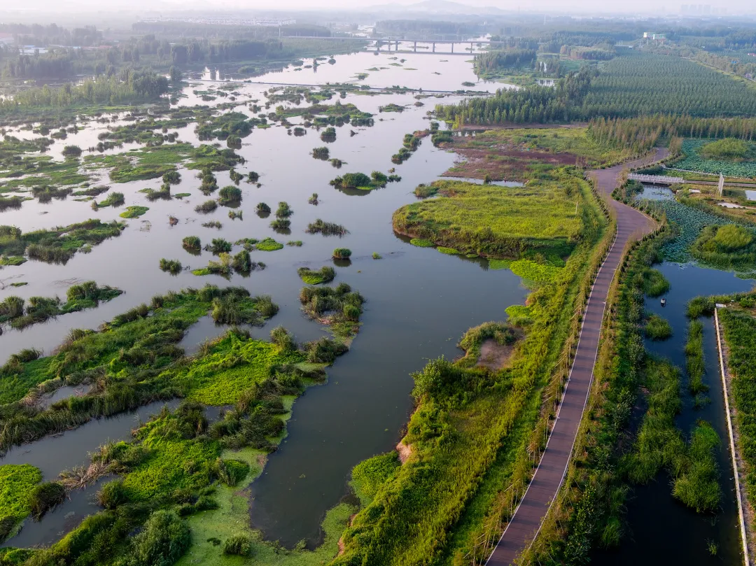 临沂市8部门联合公布第一批《临沂市重点保护湿地名录》