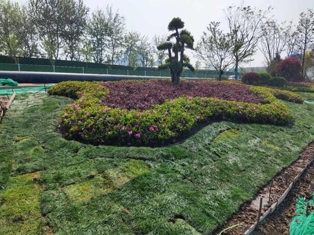 美！临沂市区这个滨水景观6月底竣工