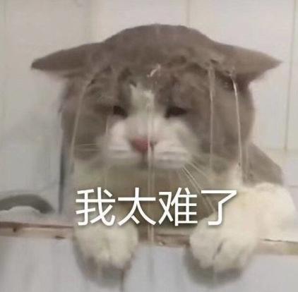低至15℃！气温“小断崖”，临沂下周的天气是这样的……