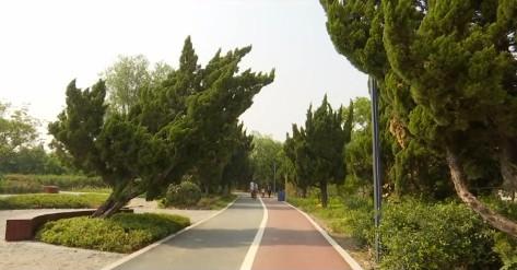 临沂罗庄区：公园升级改造，营造优美休闲环境