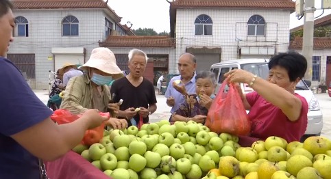 临沂罗庄区：规范“马路市场”提升城市形象