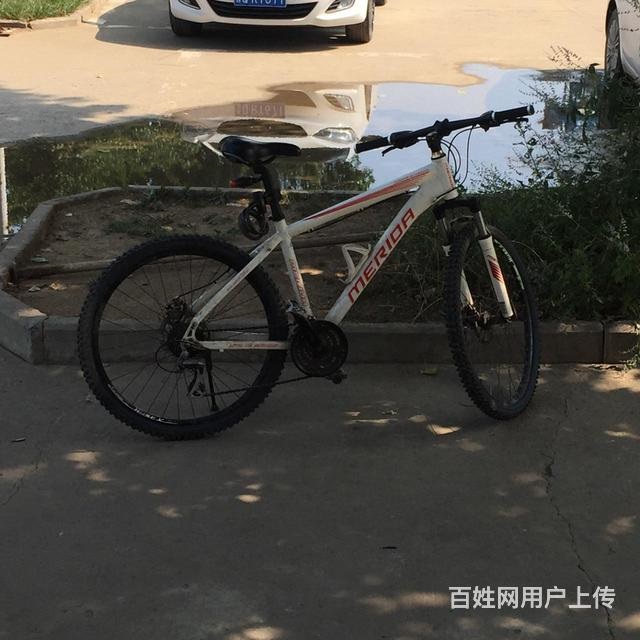转让美利达公爵600