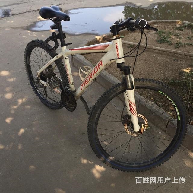 转让美利达公爵600