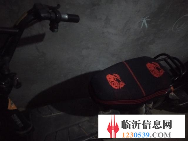 金彭电动车