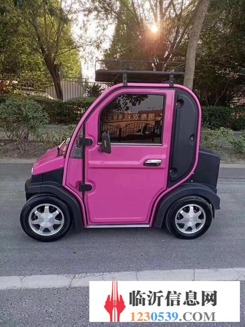 电动汽车 老年代步车