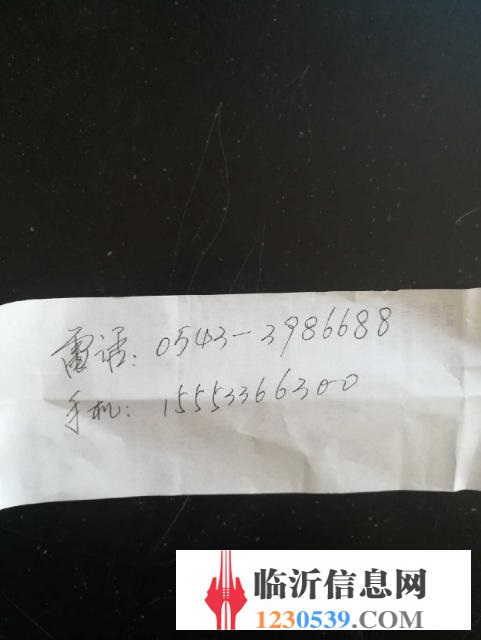 极品雷丁电动轿车，