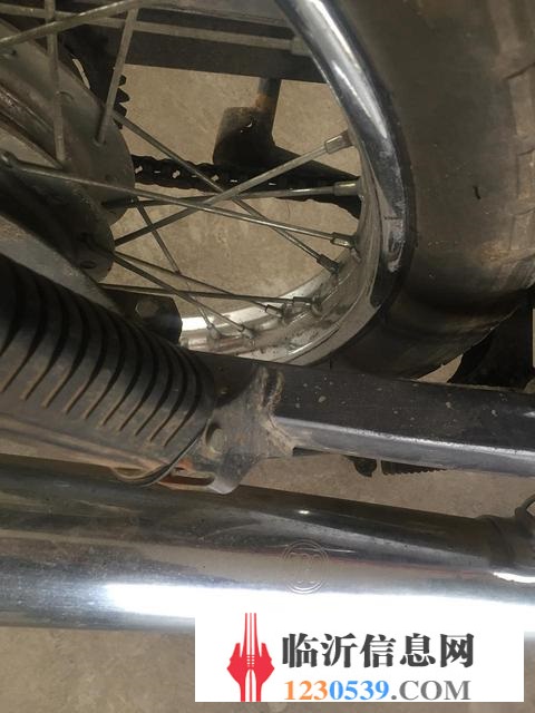 五羊本田