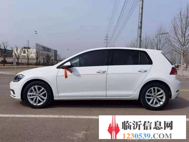 大众Golf [高尔夫] 2018款 e-Golf e-Go