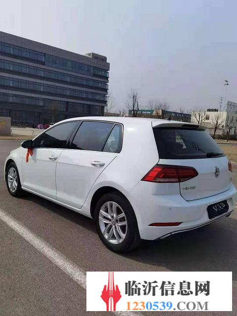 大众Golf [高尔夫] 2018款 e-Golf e-Go