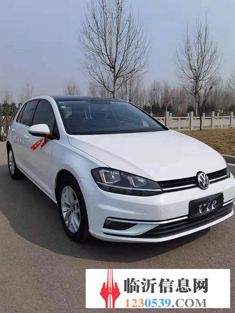 大众Golf [高尔夫] 2018款 e-Golf e-Go
