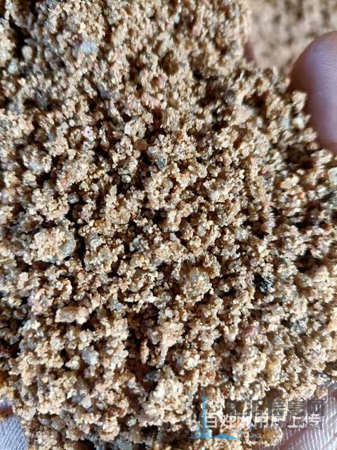 精品洗沙机出售