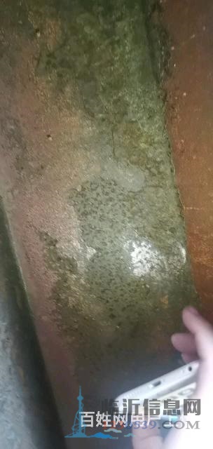 九成新研磨机全铜电机