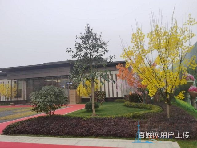 南湖壹号院小高8000多 首付5w 双学 区