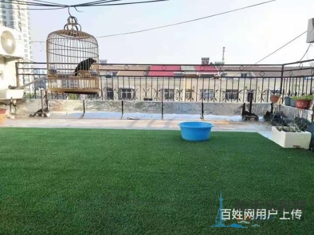 锦园大厦 一室精装带大平台 急售证过二九年沂州实验