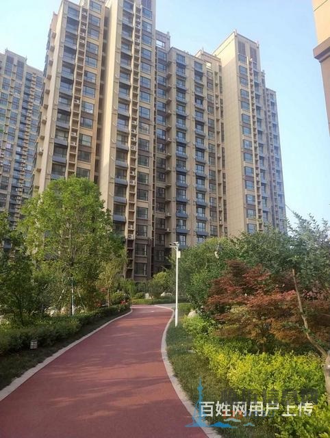 海润尚东国际130平  电梯房 南北通透   住房
