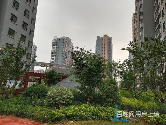 精装修证过二，金阳花园3室2厅2卫好楼层边套诚心出售