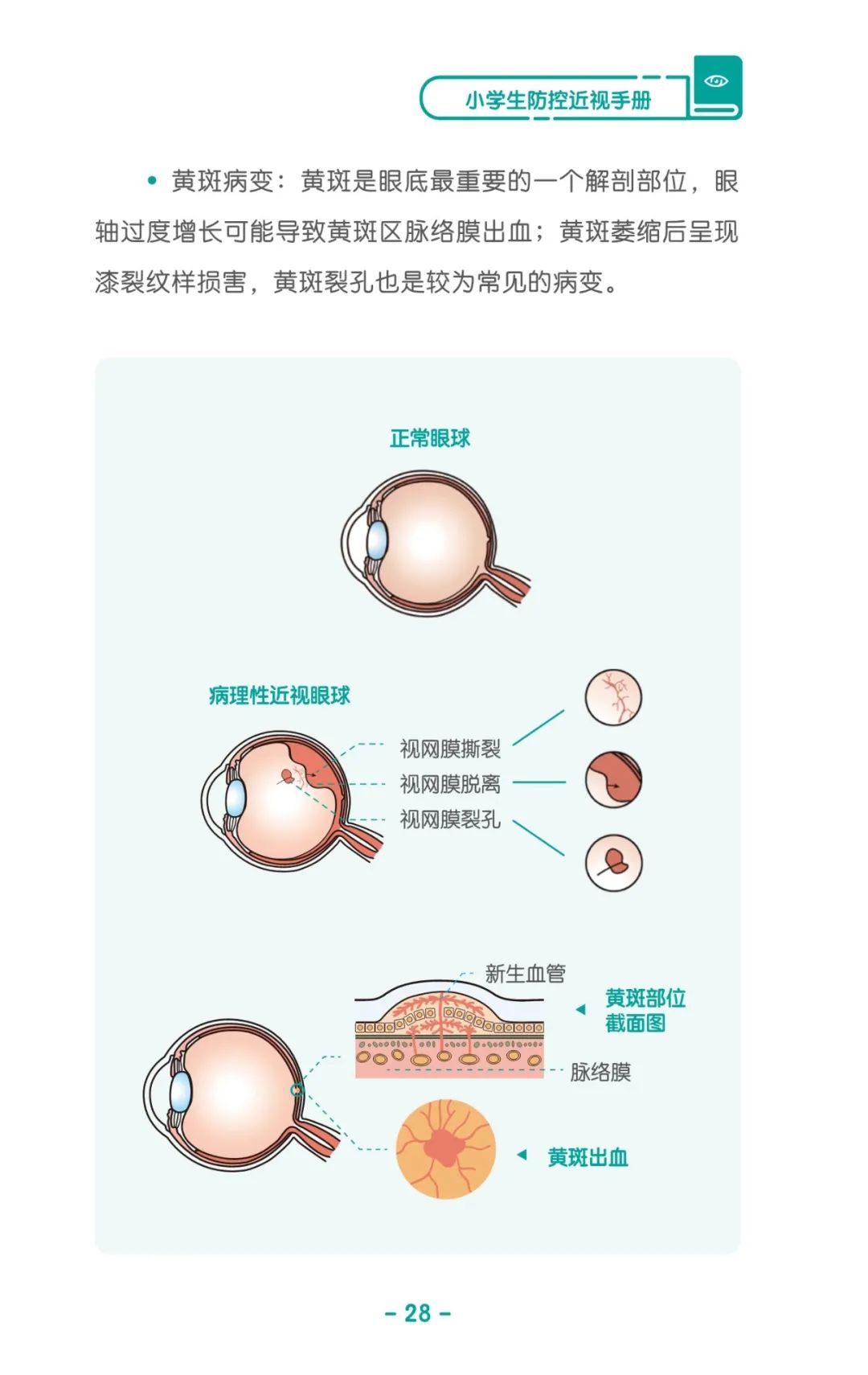 收藏！《儿童青少年防控近视系列手册》之小学生篇