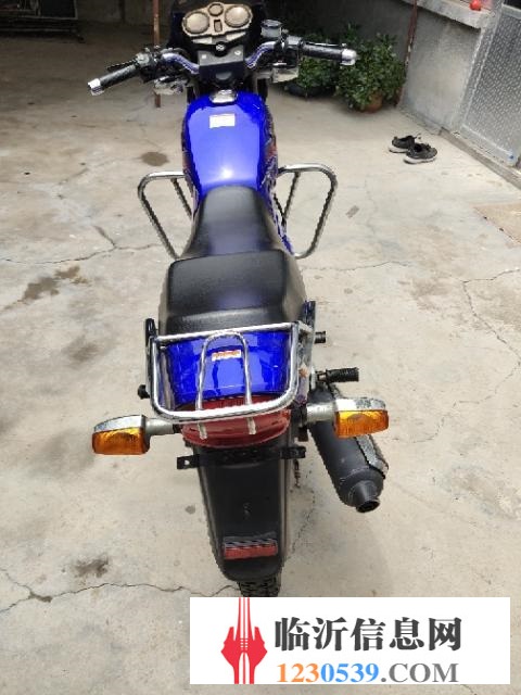精品国三钻豹王