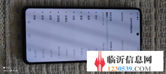 vivo iQOO 7 (5G)