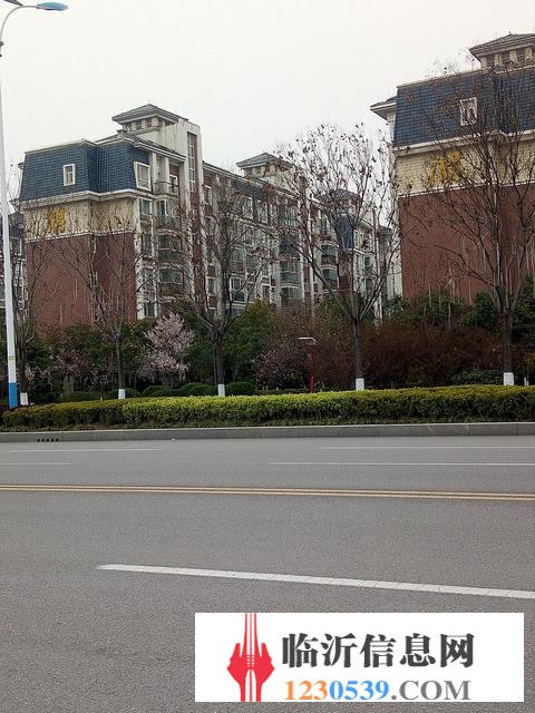 翡翠传奇 电梯房无 税费 有车位 双卫 市政供暖 杏园学 区