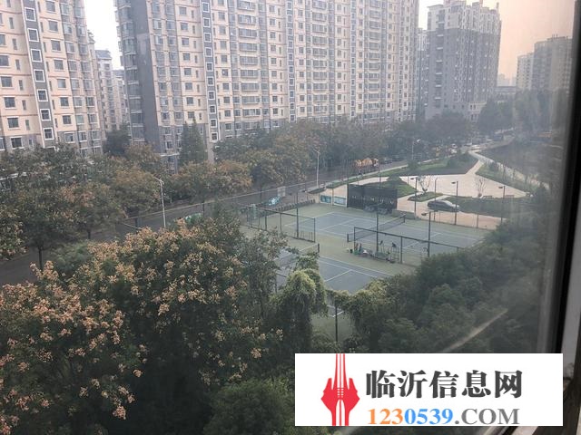 低价顶复墅级多层急售