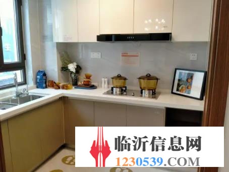 碧桂园城投翡翠外滩 一线河景房 精装修 新房团购