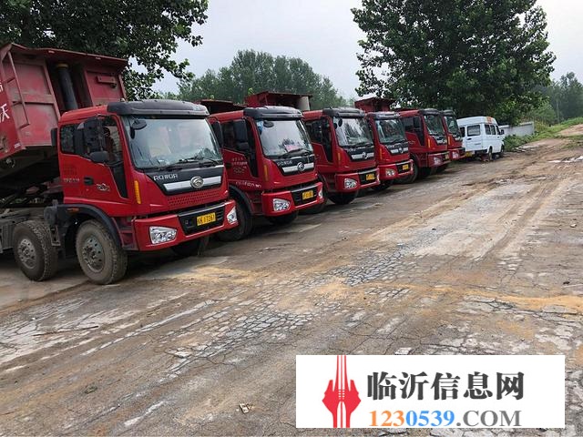 福田 自卸车