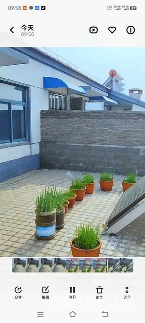 价格超级便宜