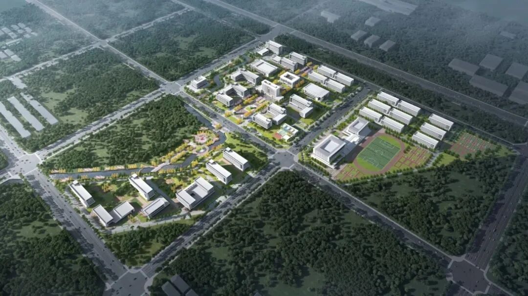 1769045235403084.jpg 640 (3).jpg